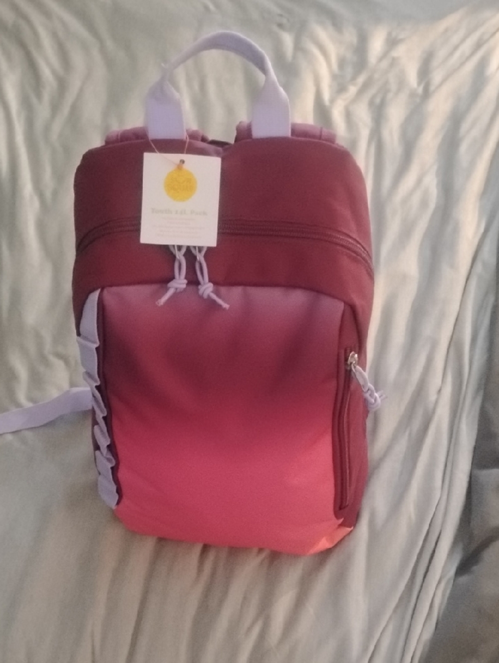 Target Ombre Pink Youth 14L Backpack